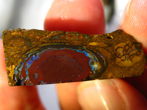 83 cts Australien Roh/rough Yowah NUSS Boulder Matrix Opal Sammler Schleifer
