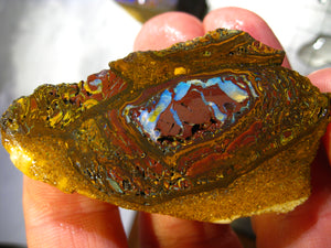 197 cts Australien Roh/rough Yowah NUSS Boulder Matrix Opal Sammler Schleifer