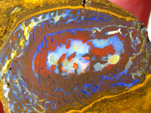236 cts Australien Roh/rough Yowah NUSS Boulder Matrix Opal Sammler Schleifer