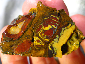 236 cts Australien Roh/rough Yowah NUSS Boulder Matrix Opal Sammler Schleifer