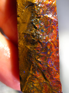 136 cts Australien Roh/rough Yowah NUSS Boulder Matrix Opal Sammler Schleifer