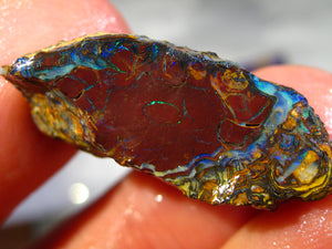 42 cts Australien Roh/rough Yowah NUSS Boulder Matrix Opal Sammler Schleifer