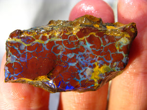 88 cts Australien Roh/rough Yowah NUSS Boulder Matrix Opal Sammler Schleifer