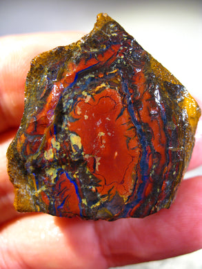130 cts Australien Roh/rough Yowah NUSS Boulder Matrix Opal Sammler Schleifer