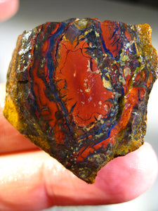 130 cts Australien Roh/rough Yowah NUSS Boulder Matrix Opal Sammler Schleifer