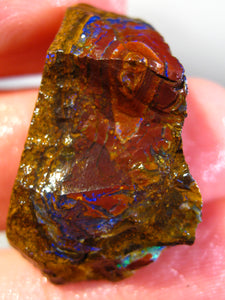 36 cts Australien Roh/rough Yowah NUSS Boulder Matrix Opal Sammler Schleifer