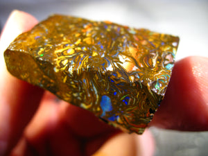 100 cts Australien Roh/rough Yowah NUSS Boulder Matrix Opal Sammler Schleifer
