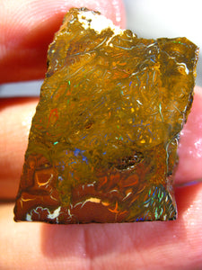 70 cts Australien Roh/rough Yowah NUSS Boulder Matrix Opal Sammler Schleifer