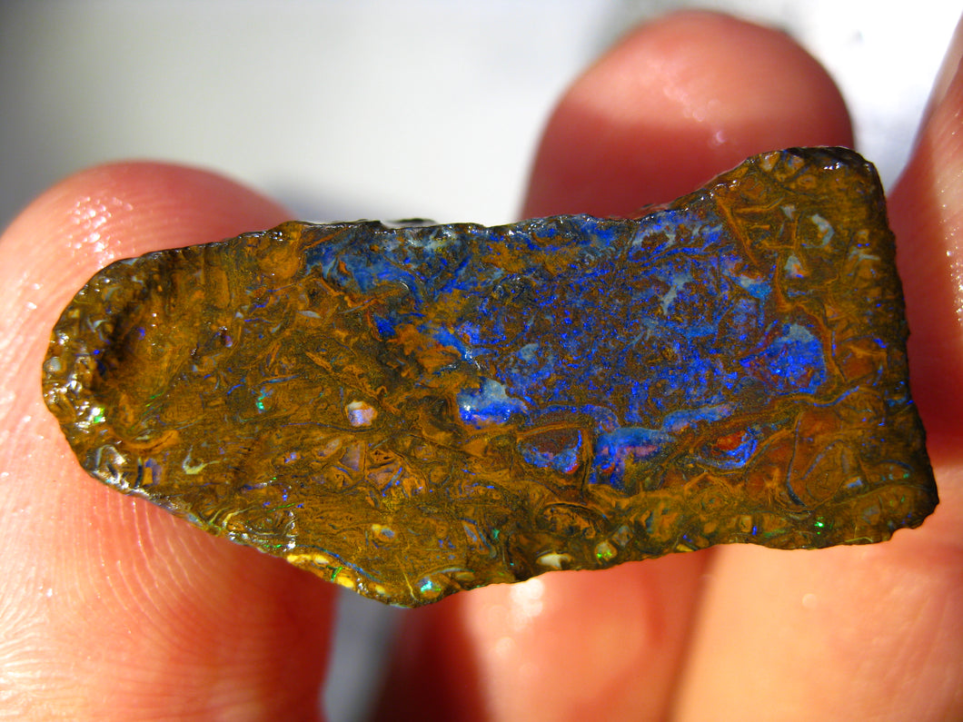 55 cts Australien Roh/rough Yowah NUSS Boulder Matrix Opal Sammler Schleifer