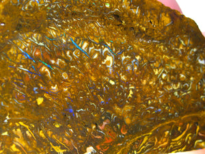 135 cts Australien Roh/rough Yowah NUSS Boulder Matrix Opal Sammler Schleifer