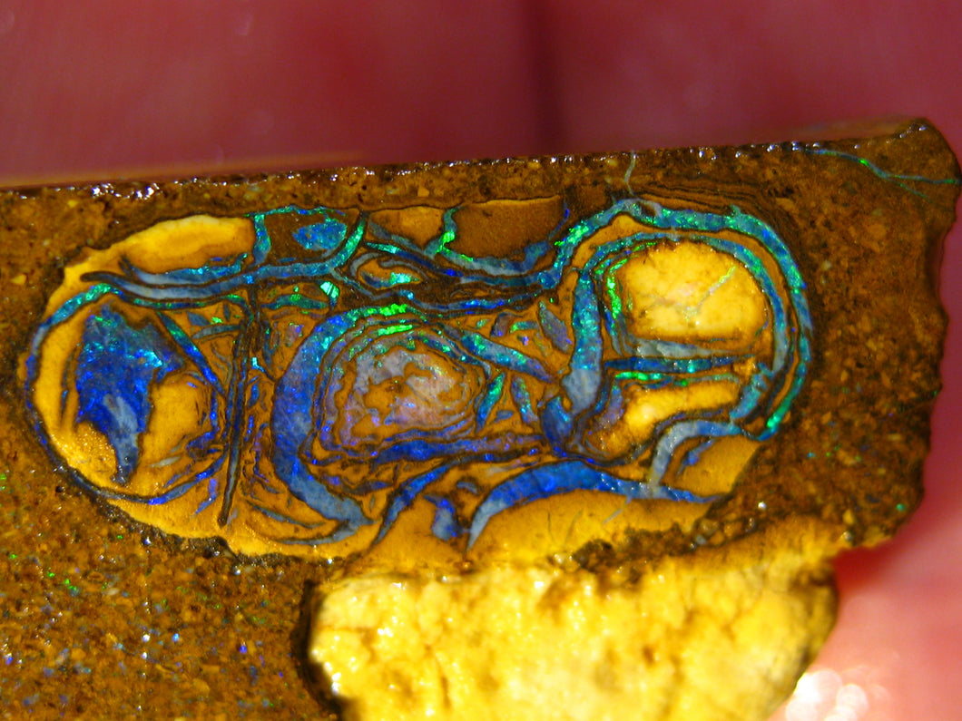 38 cts Australien Roh/rough Yowah NUSS Boulder Matrix Opal Sammler Schleifer