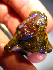 70 cts Australien Roh/rough Yowah NUSS Boulder Matrix Opal Sammler Schleifer