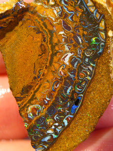 37 cts Australien Roh/rough Yowah NUSS Boulder Matrix Opal Sammler Schleifer
