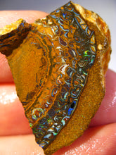 Laden Sie das Bild in den Galerie-Viewer, 37 cts Australien Roh/rough Yowah NUSS Boulder Matrix Opal Sammler Schleifer