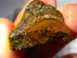 37 cts Australien Roh/rough Yowah NUSS Boulder Matrix Opal Sammler Schleifer