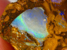 Laden Sie das Bild in den Galerie-Viewer, 31 cts Australien Roh/rough Yowah NUSS Boulder Matrix Opal Sammler Schleifer