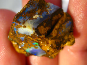 31 cts Australien Roh/rough Yowah NUSS Boulder Matrix Opal Sammler Schleifer
