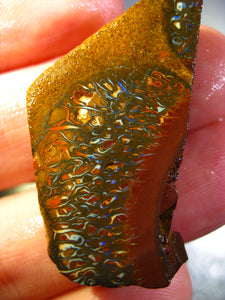 56 cts Australien Roh/rough Yowah NUSS Boulder Matrix Opal Sammler Schleifer