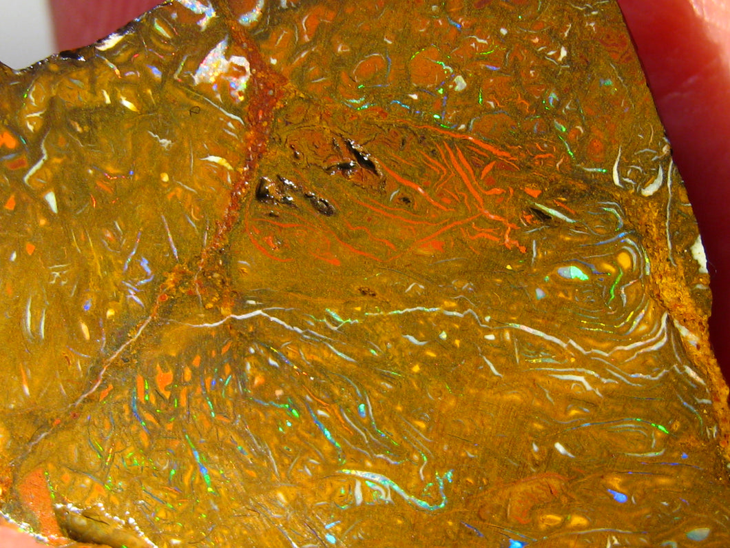 59 cts Australien Roh/rough Yowah NUSS Boulder Matrix Opal Sammler Schleifer