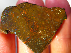 59 cts Australien Roh/rough Yowah NUSS Boulder Matrix Opal Sammler Schleifer