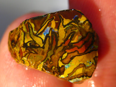 14 cts Australien Roh/rough Yowah NUSS Boulder Matrix Opal Sammler Schleifer