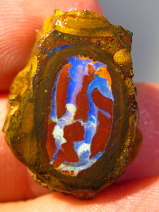 21 cts Australien Roh/rough Yowah NUSS Boulder Matrix Opal Sammler Schleifer
