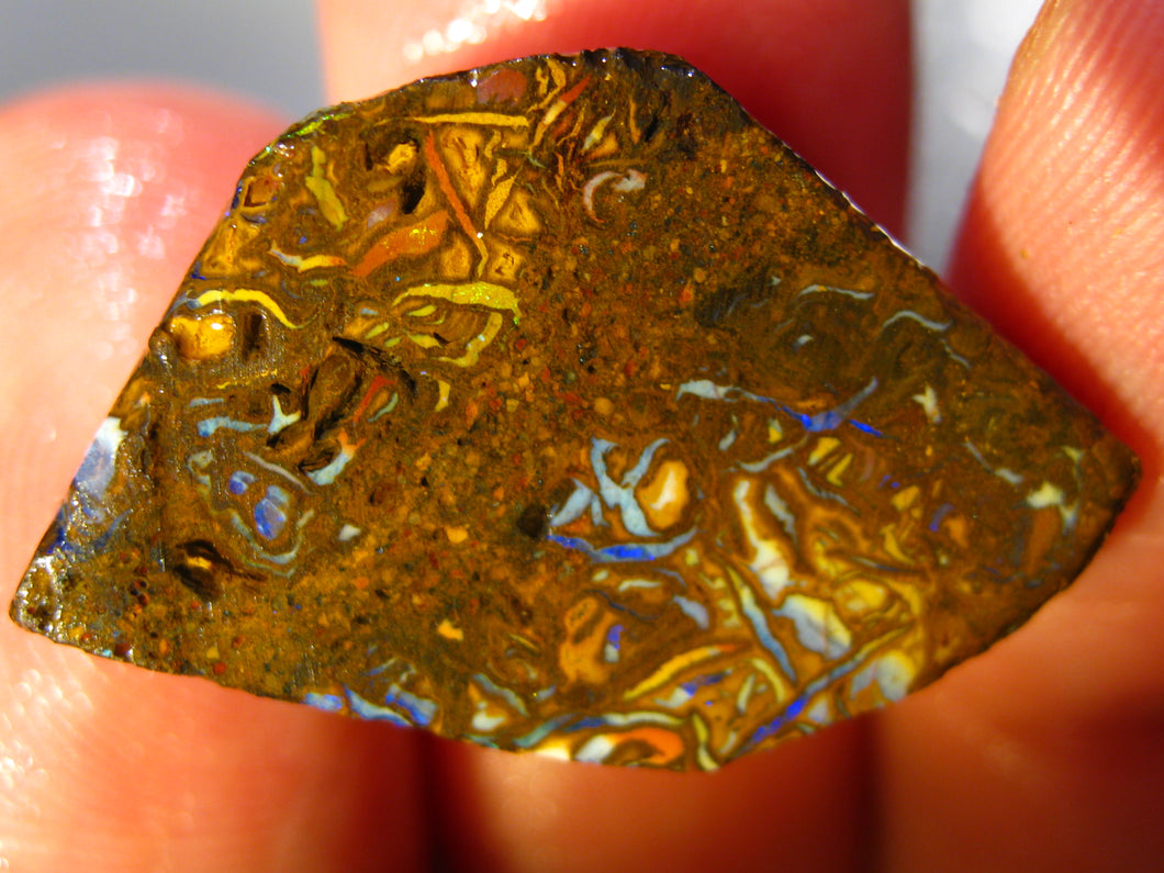 33 cts Australien Roh/rough Yowah NUSS Boulder Matrix Opal Sammler Schleifer