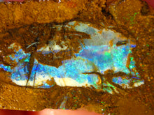 Laden Sie das Bild in den Galerie-Viewer, 17 cts Australien Roh/rough Yowah NUSS Boulder Matrix Opal Sammler Schleifer