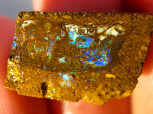 17 cts Australien Roh/rough Yowah NUSS Boulder Matrix Opal Sammler Schleifer