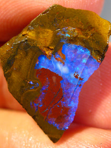 15 cts Australien Roh/rough Yowah NUSS Boulder Matrix Opal Sammler Schleifer