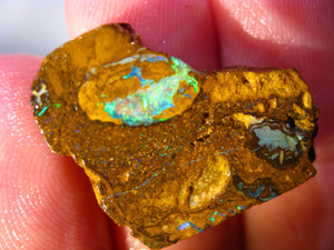 22 cts Australien Roh/rough Yowah NUSS Boulder Matrix Opal Sammler Schleifer
