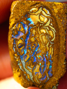 12 cts Australien Roh/rough Yowah NUSS Boulder Matrix Opal Sammler Schleifer