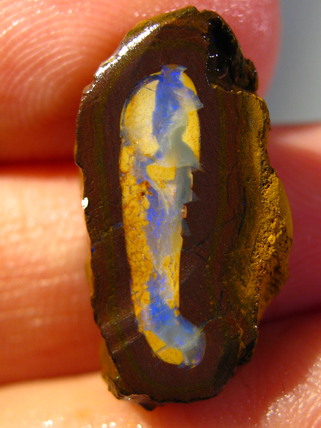 21 cts Australien Roh/rough Yowah NUSS Boulder Matrix Opal Sammler Schleifer