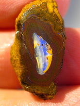 Laden Sie das Bild in den Galerie-Viewer, 21 cts Australien Roh/rough Yowah NUSS Boulder Matrix Opal Sammler Schleifer
