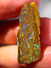 Laden Sie das Bild in den Galerie-Viewer, 21 cts Australien Roh/rough Yowah NUSS Boulder Matrix Opal Sammler Schleifer