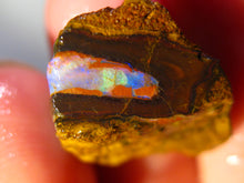 Laden Sie das Bild in den Galerie-Viewer, 23 cts Australien Roh/rough Yowah NUSS Boulder Matrix Opal Sammler Schleifer