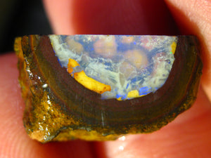 9 cts Australien Roh/rough Yowah NUSS Boulder Matrix Opal Sammler Schleifer