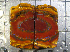 56 cts Australien Roh/rough Yowah Nuss Nut Boulder Matrix Opal Sammler Schleifer