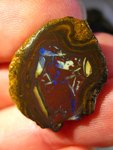 81 cts Australien Roh/rough Yowah Nuss Nut Boulder Matrix Opal Sammler Schleifer