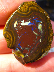 81 cts Australien Roh/rough Yowah Nuss Nut Boulder Matrix Opal Sammler Schleifer