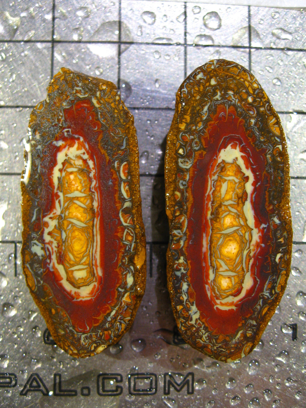 76 cts Australien Roh/rough Yowah Nuss Nut Boulder Matrix Opal Sammler Schleifer