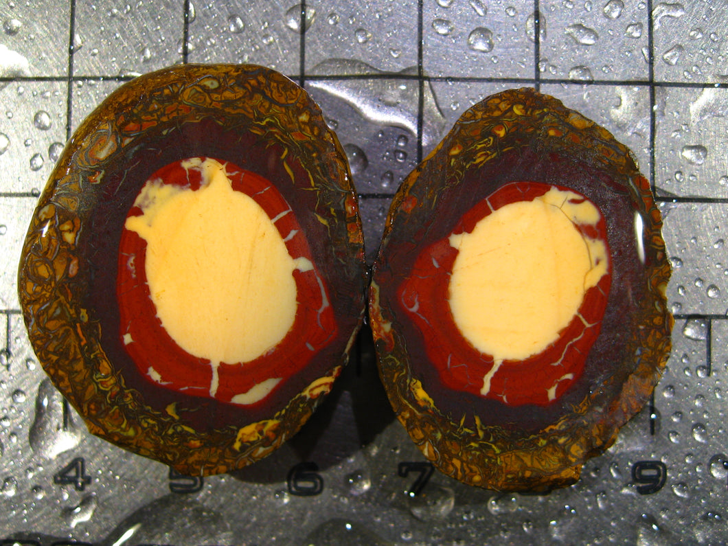74 cts Australien Roh/rough Yowah Nuss Nut Boulder Matrix Opal Sammler Schleifer