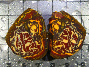 83 cts Australien Roh/rough Yowah Nuss Nut Boulder Matrix Opal Sammler Schleifer