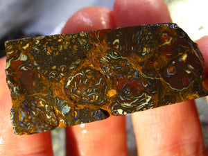224 cts Australien Roh/rough Yowah Boulder Matrix Opal Sammler Schleifer