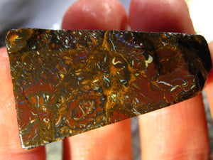 224 cts Australien Roh/rough Yowah Boulder Matrix Opal Sammler Schleifer