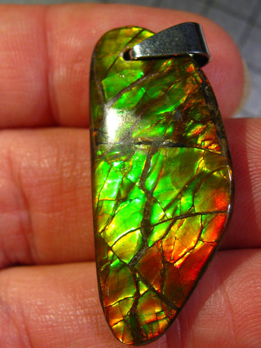 GEM RARR Ammolite Drachenschuppen Ammolith Anhänger mit Läderband Ein Traum