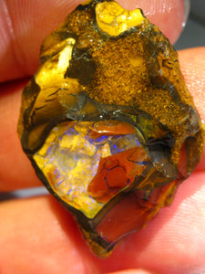 52cts Australien Roh/rough Yowah NUSS Boulder Matrix Opale VORSCHAU VIDEO - Repps-Opal