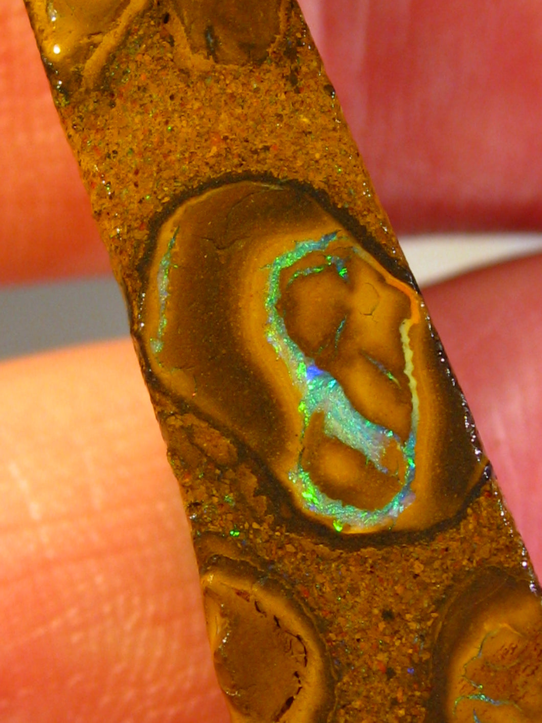 43cts Australien Roh/rough Yowah Nuss Boulder Matrix Opal - Repps-Opal
