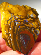 Laden Sie das Bild in den Galerie-Viewer, 87cts Australien Roh/rough Yowah Nuss Boulder Matrix Opal - Repps-Opal