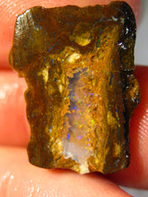 Laden Sie das Bild in den Galerie-Viewer, 14cts Australien Roh/rough Yowah Nuss Boulder Matrix Opal - Repps-Opal